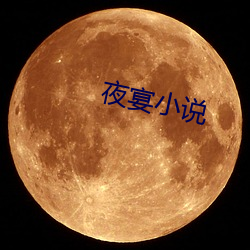 夜(yè)宴小说