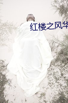 红楼(樓)之风华绝(絕)黛(黛)