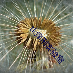 tk痒(yǎng)刑实验室
