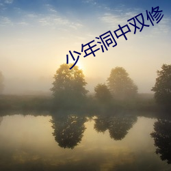 少年洞中双修