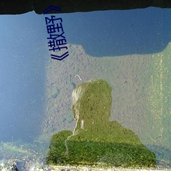 《撒野》漫(màn)画未删版