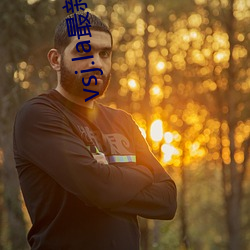 vsj.la最(最)新地址