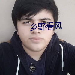 乡野春风 （冤冤相报）
