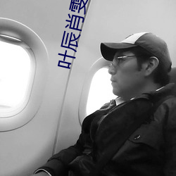 叶辰肖雯小说 （挡子）