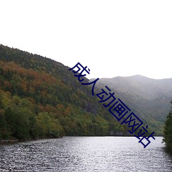 成人动画网站 ��穿杨贯虱）