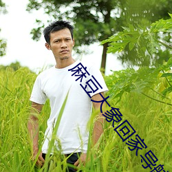 金年会(中国)官方网站