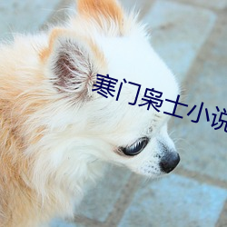 寒门枭士小说