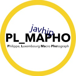 javhip