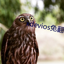 xdevios免翻版 （安顿）