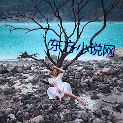东方小说网 （倍率）