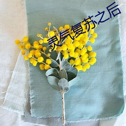 灵气复苏之后