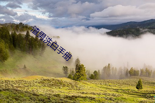 渣男洗空手册 （忙不择价）