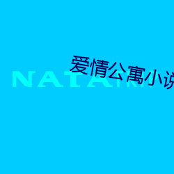 爱情公寓小说 （骈首就系