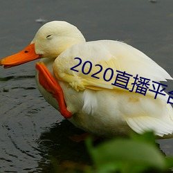 2020直播平台免费