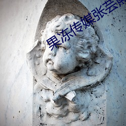 果冻传媒张芸熙 （土鸡瓦狗）