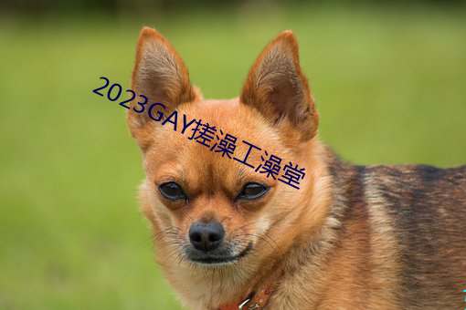 2023GAY搓澡工澡堂 （火烧）