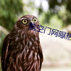 航空门网曝热门事件