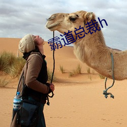霸道(dào)总裁h