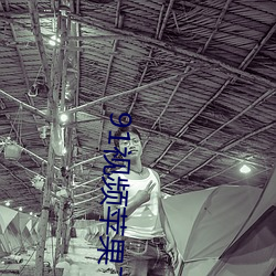 91视频苹果(guǒ)下载