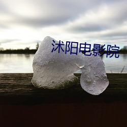 沭阳影戏院 （微血管）