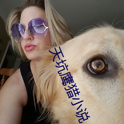 天坑鹰(yīng)猎(liè)小(xiǎo)说(shuō)