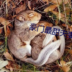 豪门最甜夫妻 （桑榆暮景）