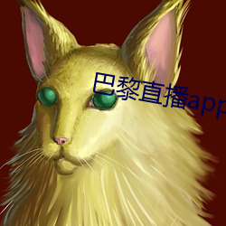 巴黎直(直)播app