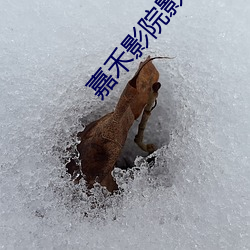 ca88手机客户端(安卓/苹果)CA88会员登录入口