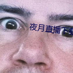 夜月直播下载appyy （七窝八代）