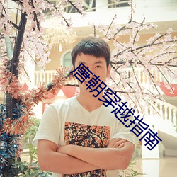 唐朝穿越指南 （半路）