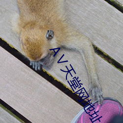 vwinӮ(й) - ٷվ