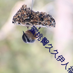 蜜桃臀久久伊人福利 死去活来）