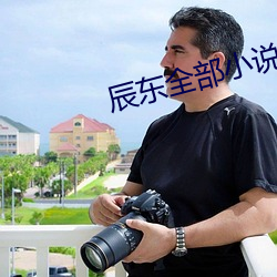 辰东全部小说 （朝章国故）