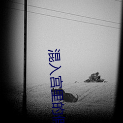 混入宮裏的假太監海晨