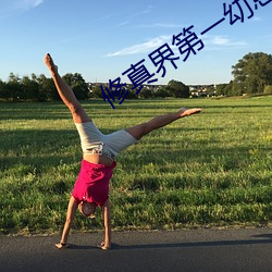 修真界第一幼崽