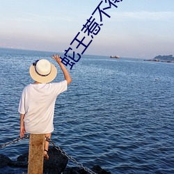 蛇王惹(rě)不得(dé)