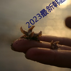 2023º(d)ȫ(qun)