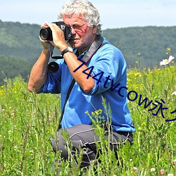 744tvcow永久打开