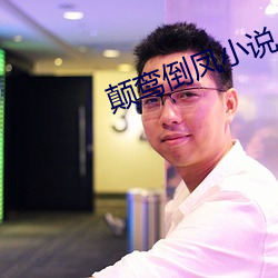 颠鸾倒凤小说