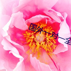 国外一对一全听指挥 （正经八百）