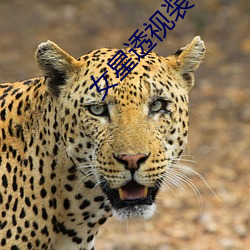 女星(xīng)透(tòu)视装