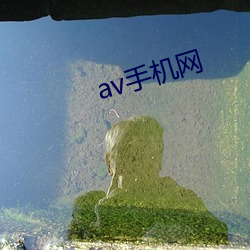 av手(手)机网(網)