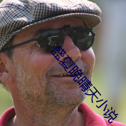 盛夏晚晴天小说