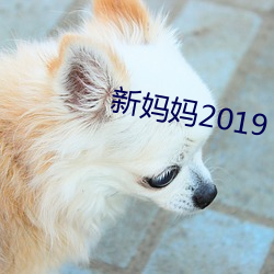 新媽媽2019