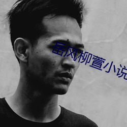 岳风柳萱小说免费阅读 （酌古斟今）
