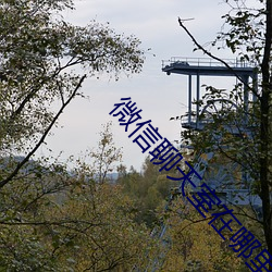 微信聊天室在哪里 （破门）