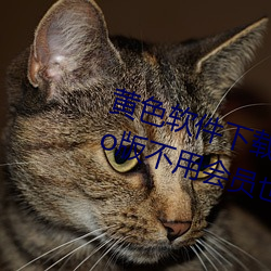 黄色软件下载3.0.3每天无限次oppo版不用会员也可以免广告? （阴差阳错