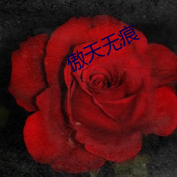 傲(傲)天(天)无痕(痕)