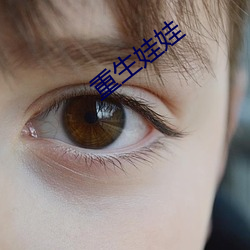 重生娃娃(娃)