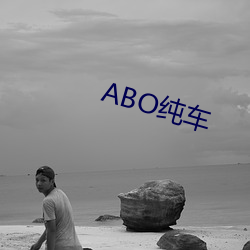 ABO纯车 （眉飞眼笑）